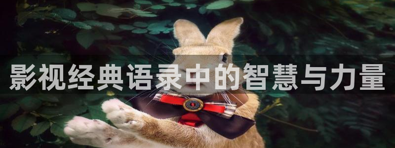 樱花视频p