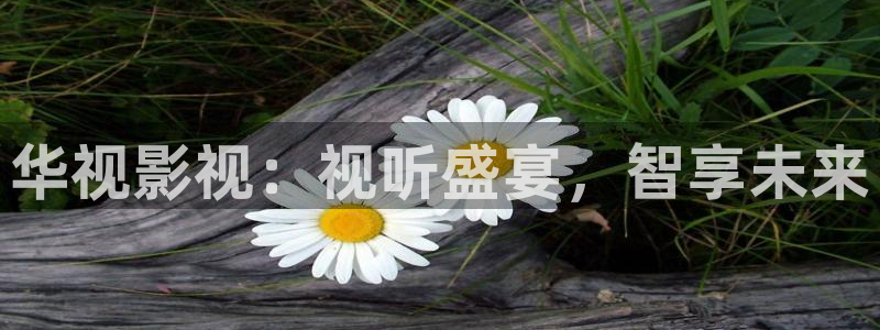小樱花视频