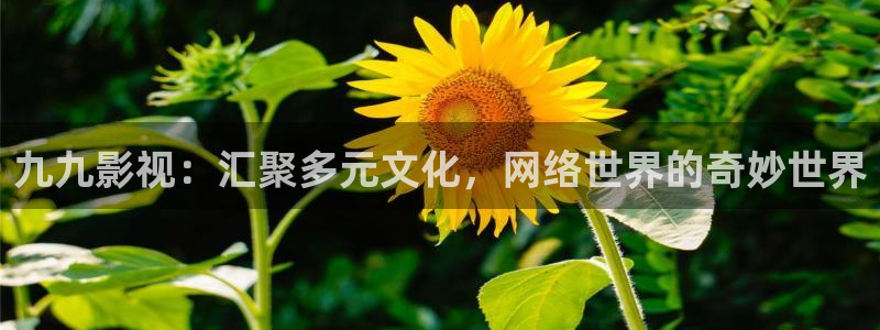 樱花影院雨宫琴音电视剧免费