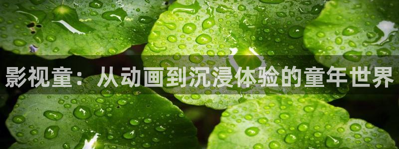 看樱花视频