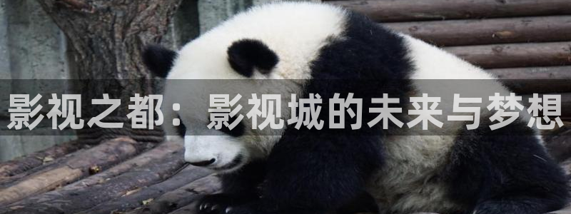 樱花视频欣赏