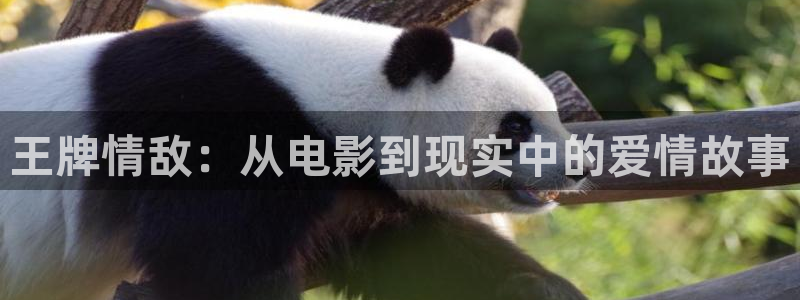 樱花视频官网