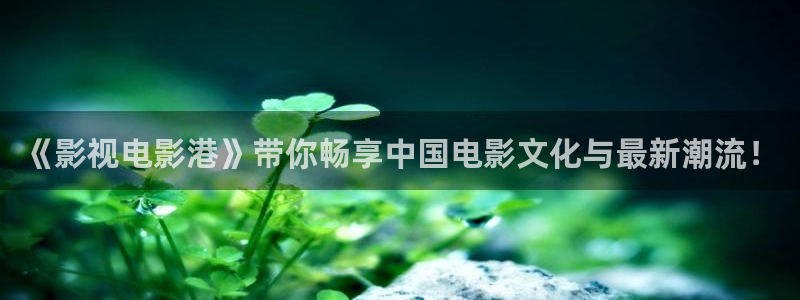 大连樱花视频