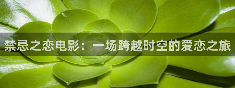 樱花视频...那就解决.