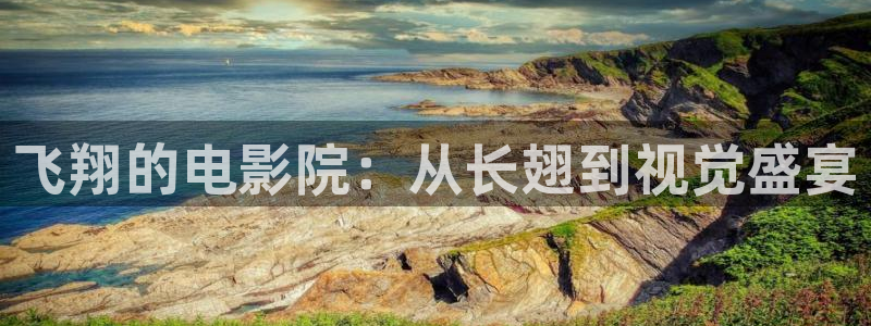 樱花视频三