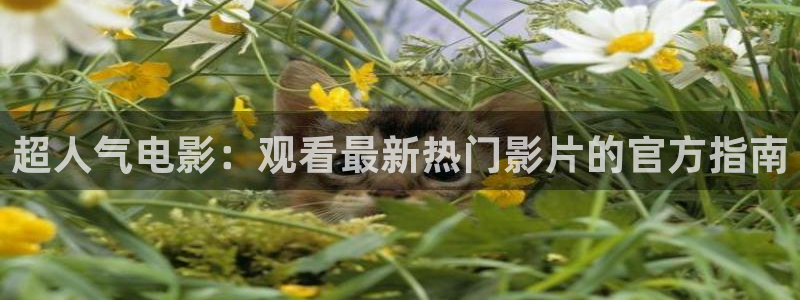 樱花影院免费播放电视剧