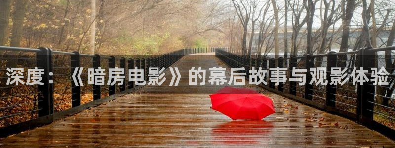 樱花视频一区