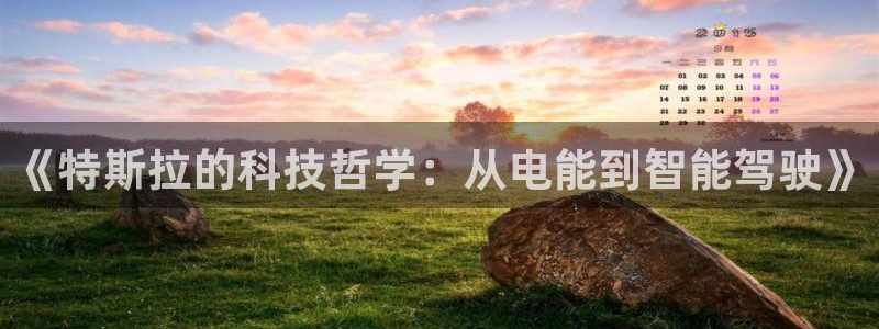 樱花视频xxx
