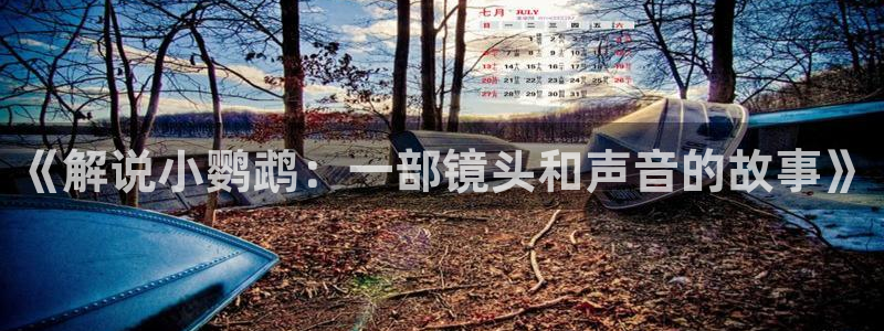 樱花视频...那就解决.